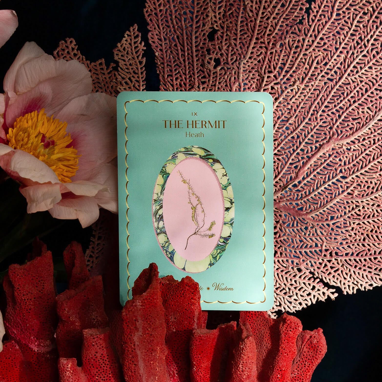 The Garden Journey Deck's Hermit card, moodily lit, nestled among beautiful corals and flowers.